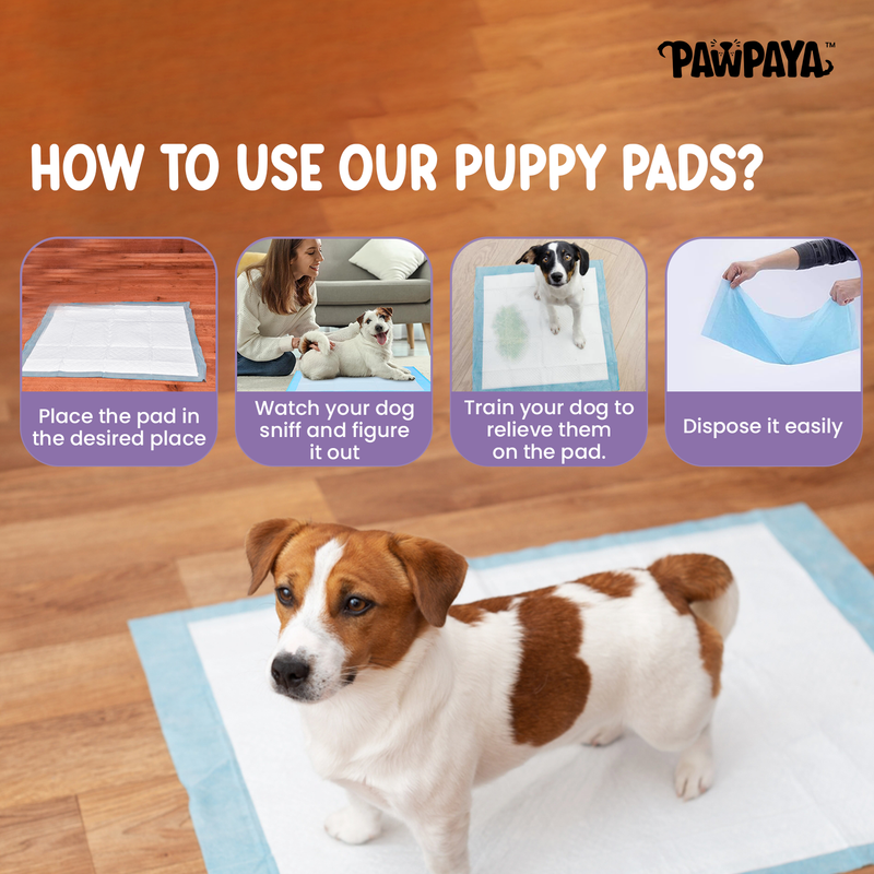 Pawpaya Training Pads
