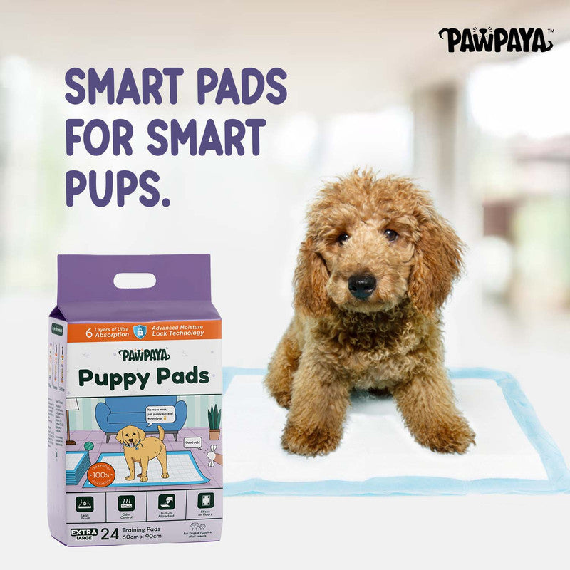 Pawpaya Training Pads