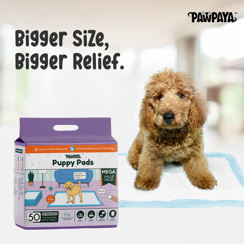 Pawpaya Training Pads, Pack of 50, 60cm x 90cm