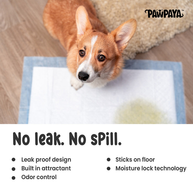 Pawpaya Training Pads, Pack of 50, 60cm x 90cm