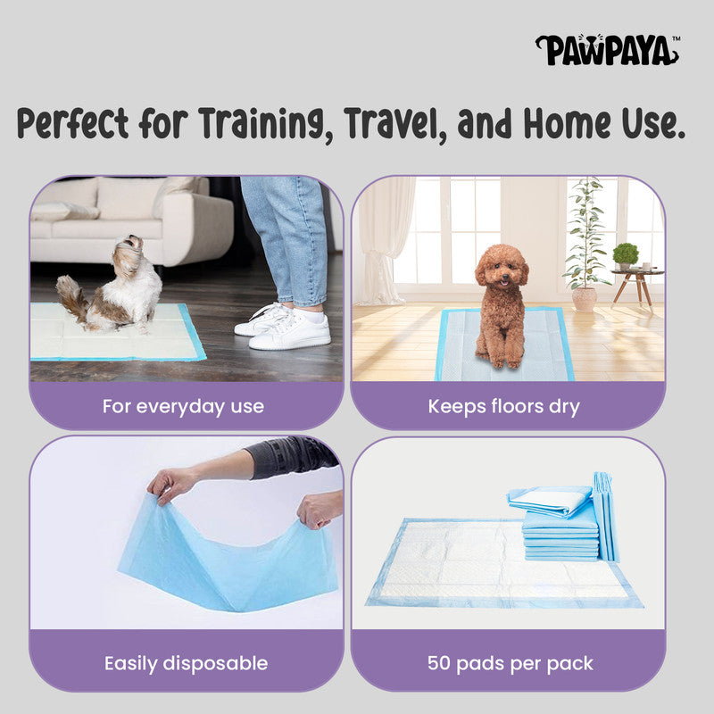 Pawpaya Training Pads, Pack of 50, 60cm x 90cm