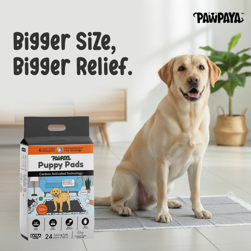 Pawpaya Carbon Training Pads, Pack of 24, 60cm x 90cm