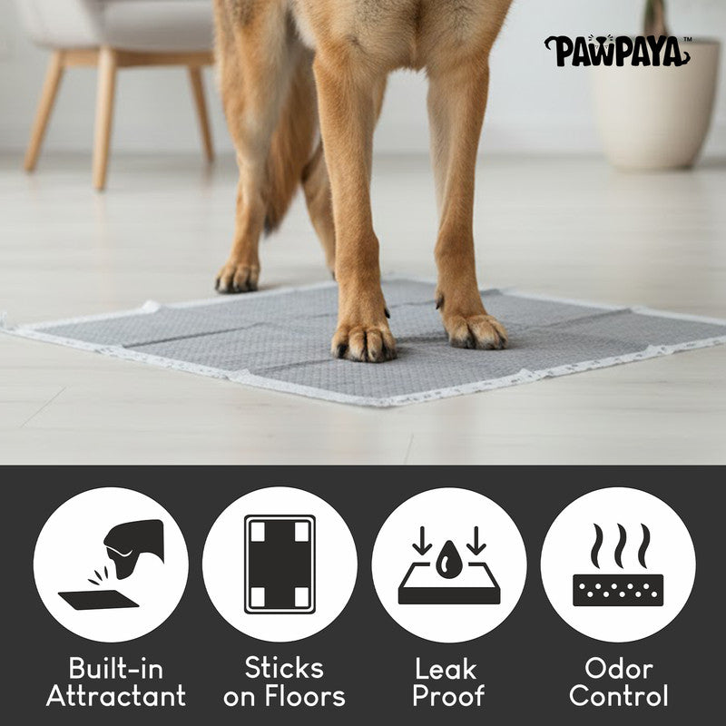 Pawpaya Carbon Training Pads, Pack of 24, 60cm x 90cm