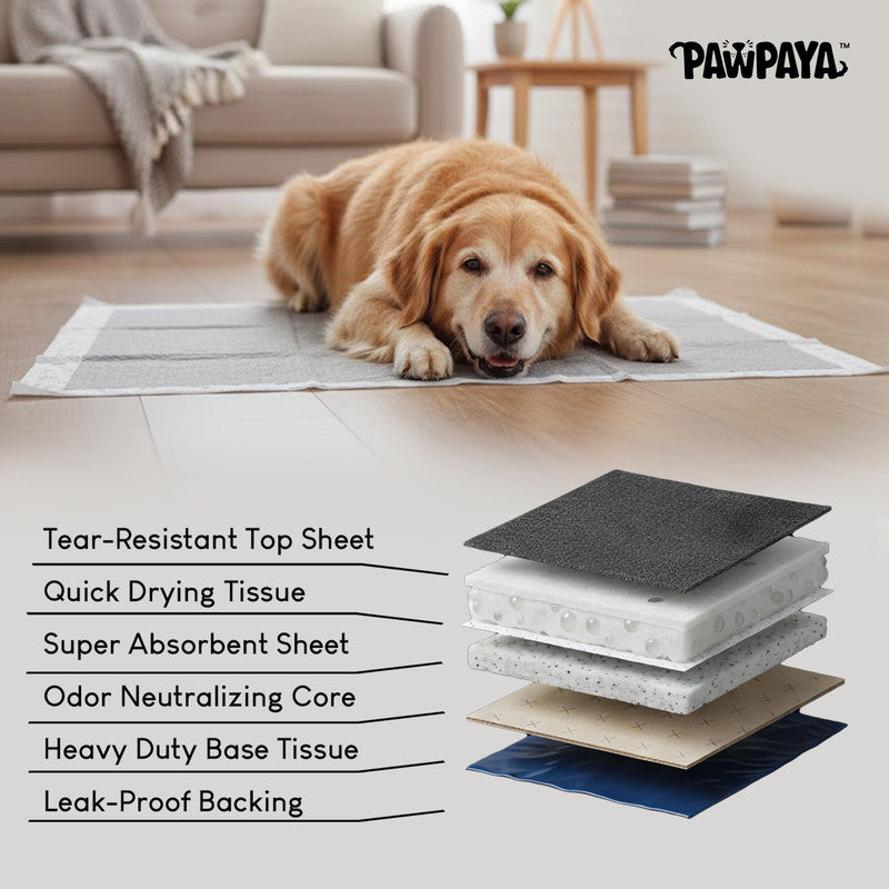 Pawpaya Carbon Training Pads, Pack of 24, 60cm x 90cm