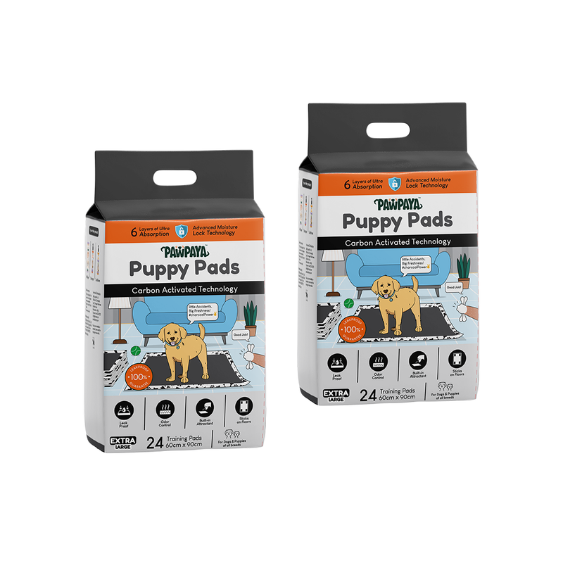 Pawpaya Carbon Training Pads, Pack of 24, 60cm x 90cm