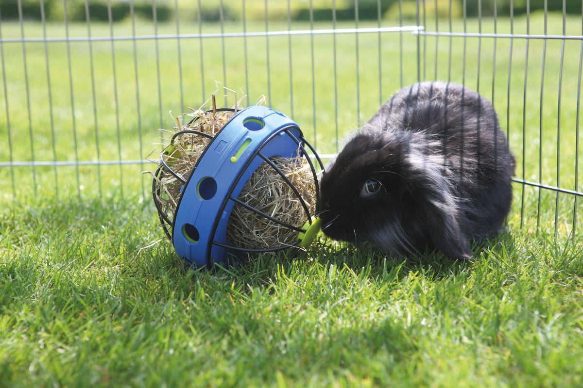 Bunny Toy