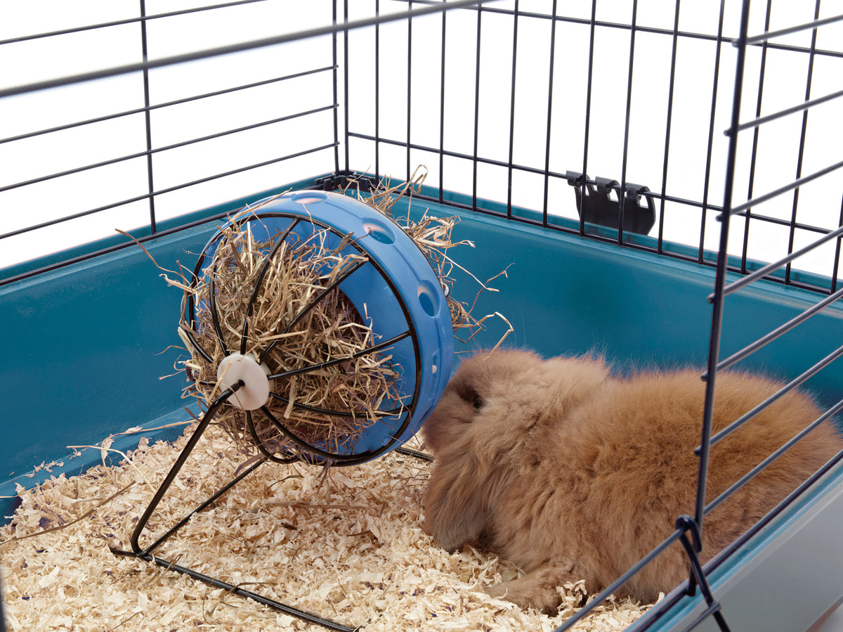 Bunny Toy