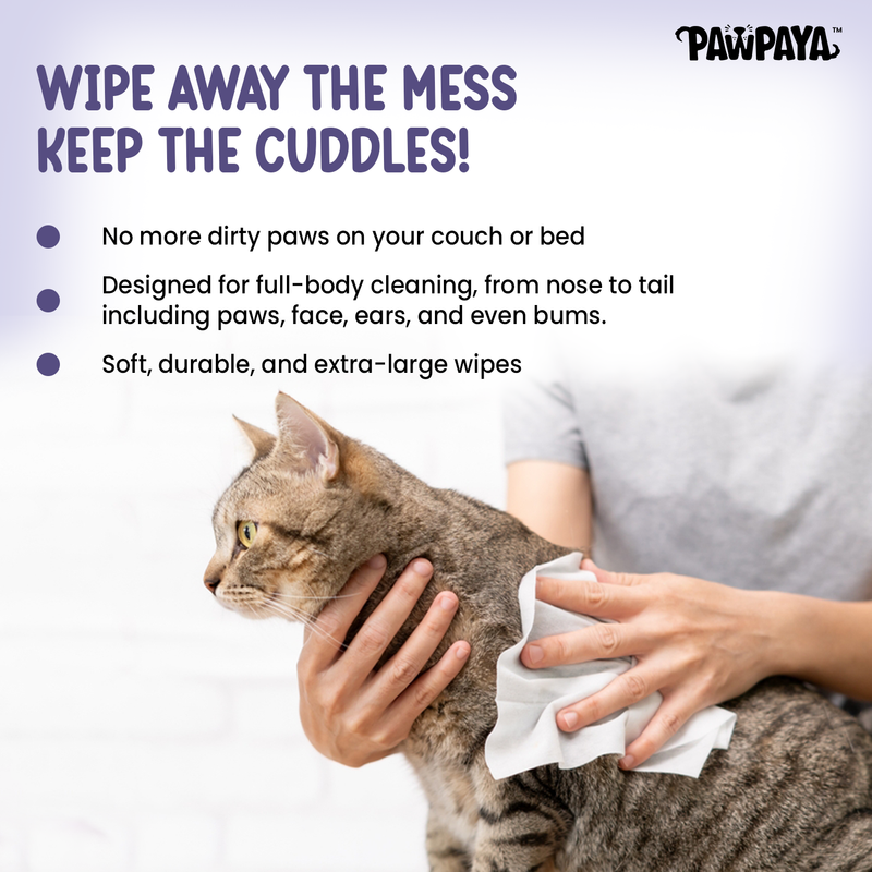 Pawpaya Pet Wipes 100 Pull Pack, 20 x 18 cm
