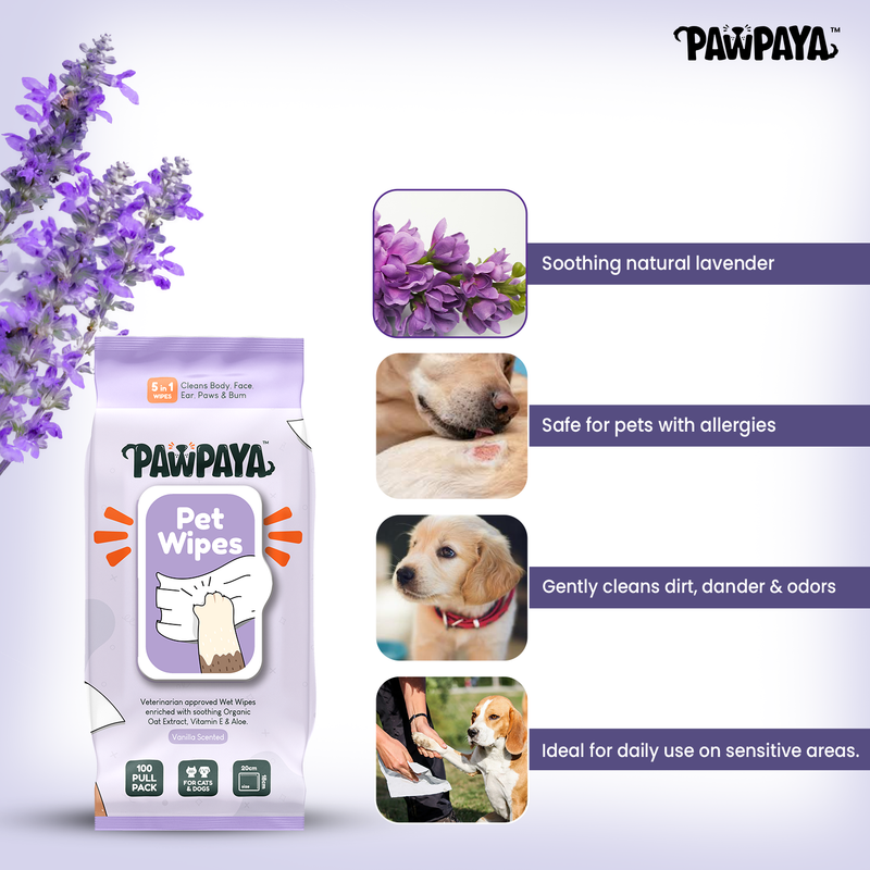 Pawpaya Pet Wipes 100 Pull Pack, 20 x 18 cm