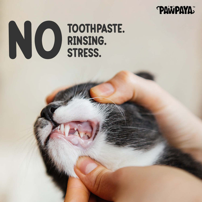 Pawpaya Tooth Wipes