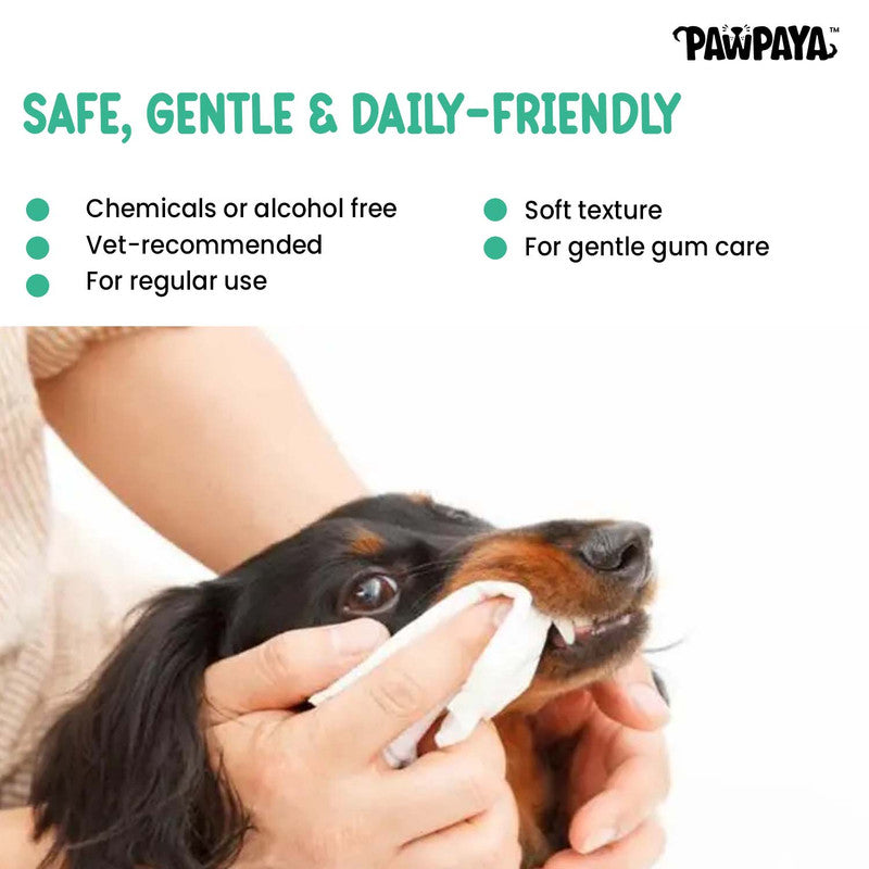 Pawpaya Tooth Wipes