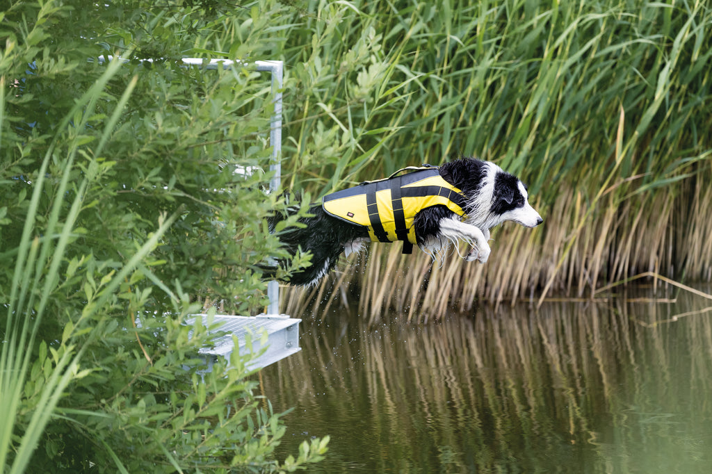 Life Vest for Dogs, Back Length - 45 cm, 45-72 cm, M, Yellow/Black
