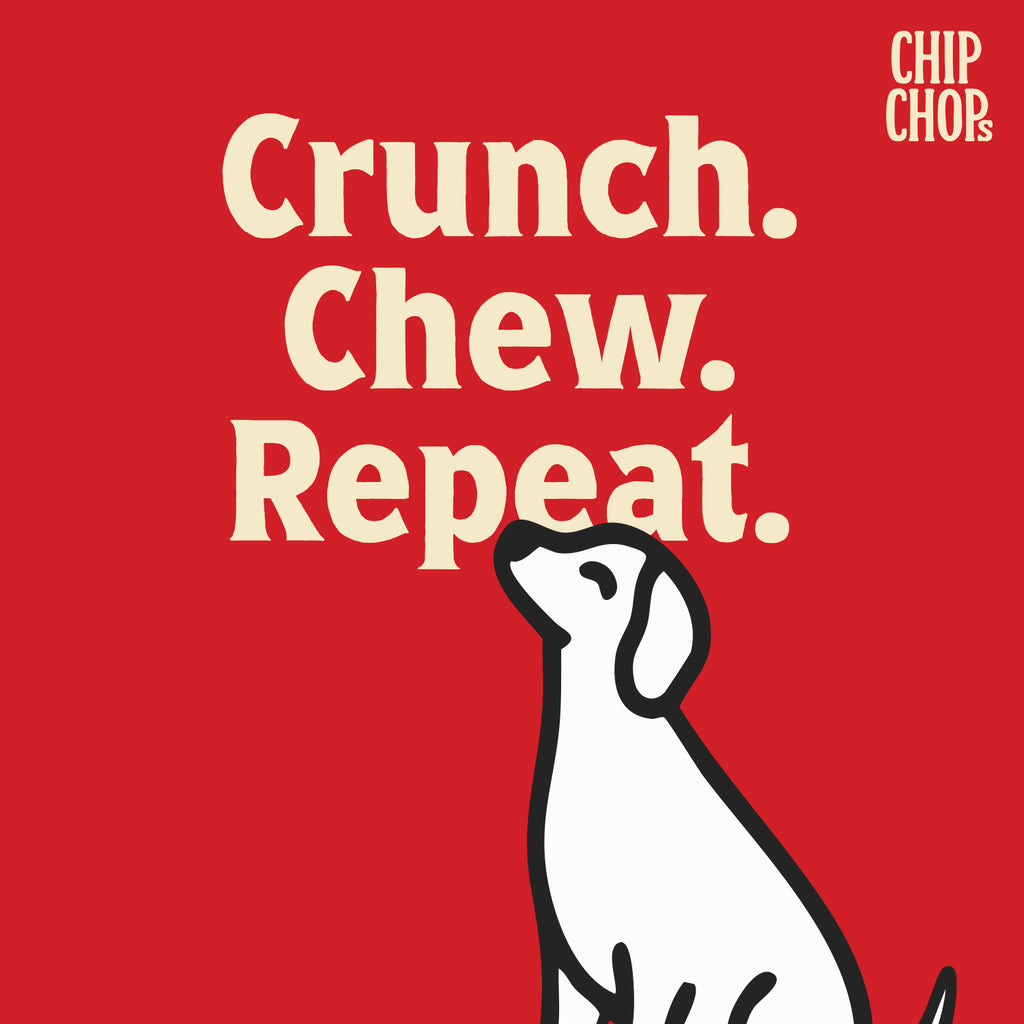 Chip Chops Sun Dried Chicken Jerky