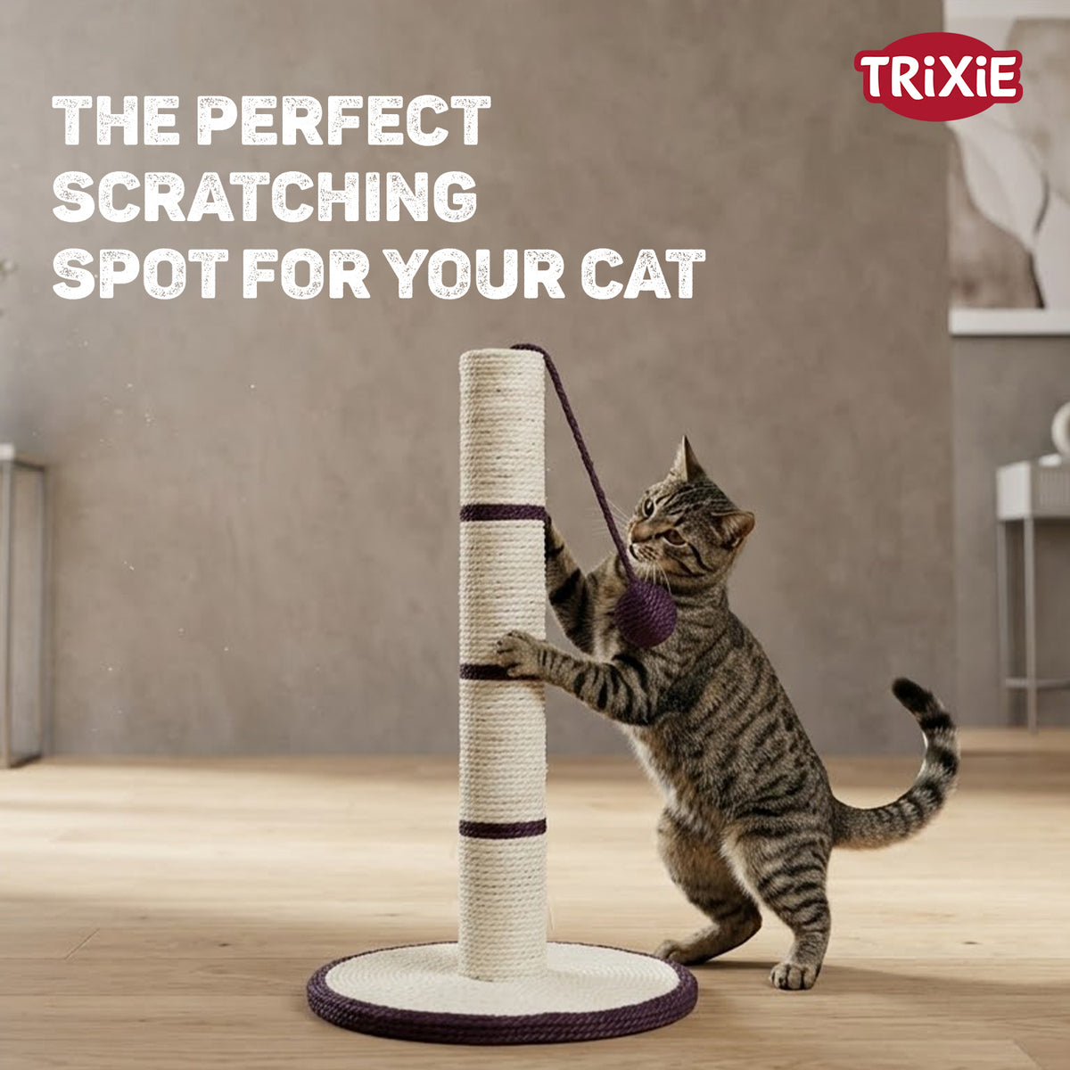 Scratching Post, ø 31 x ø 7 x 50 cm