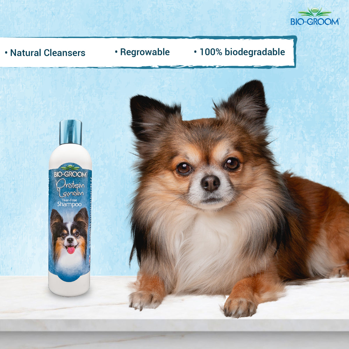 Groom N Fresh Conditioning Shampoo – 355 ml