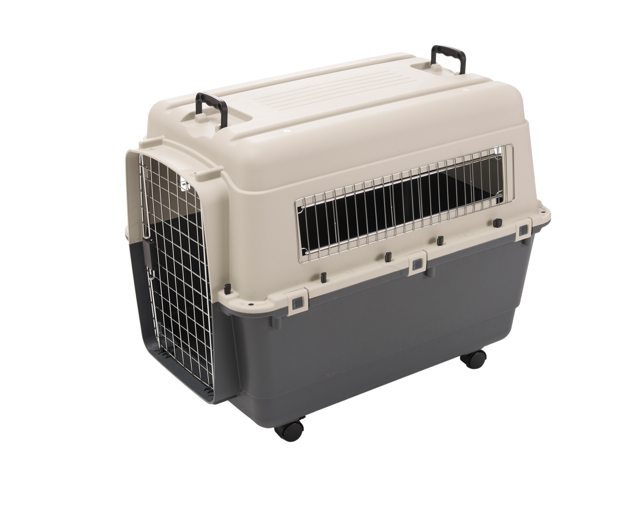 Andes 5 Pet Carrier, 32 x 22 x 23 inch, Ivory