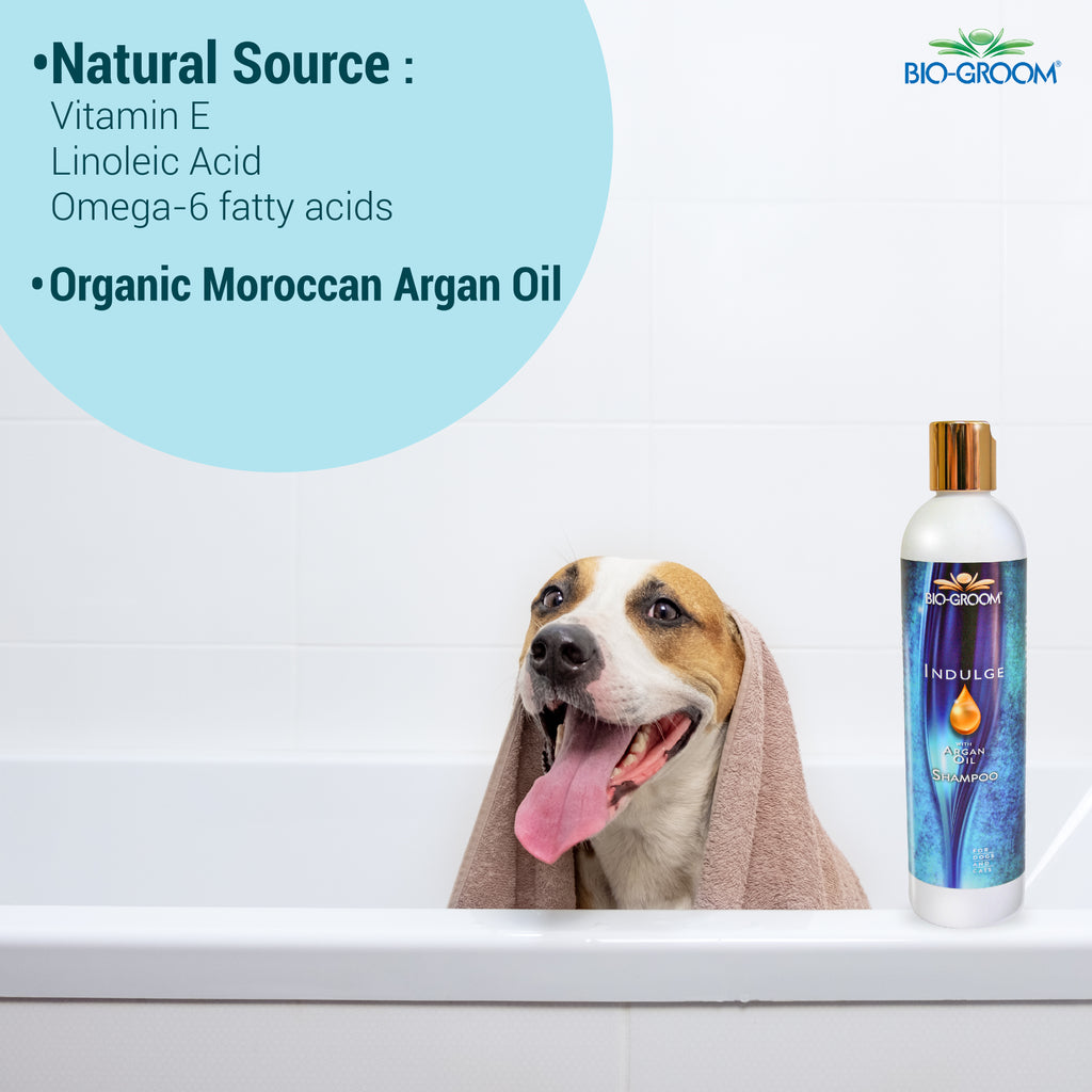 Indulge Sulfate-Free Pure Argan Oil Shampoo – 355 ml