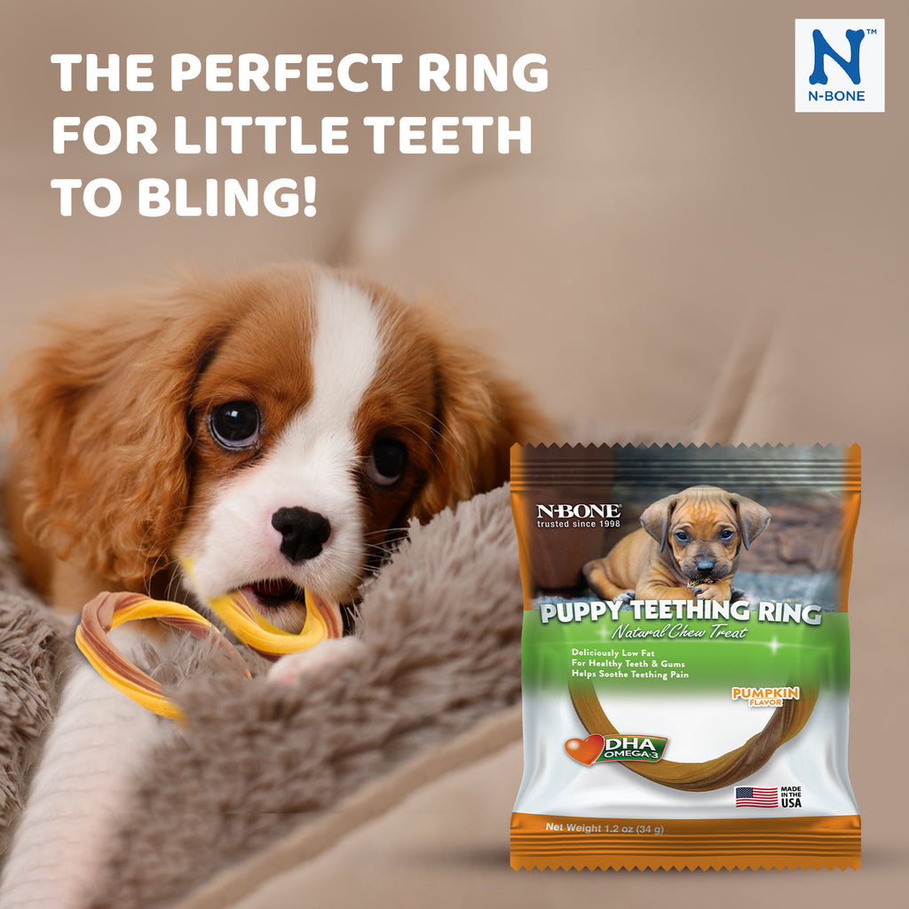 N-Bone Puppy Teething Ring, Pumpkin Flavor