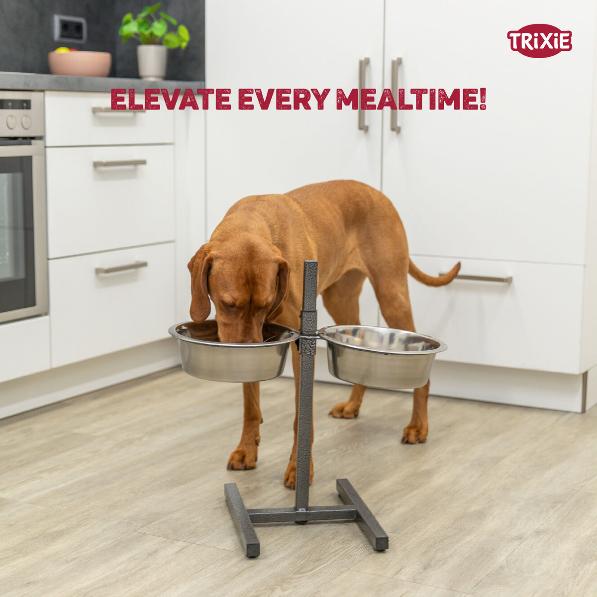 Dog bar, stainless steel/metal, 2 × 2.8 l/ø 24 cm