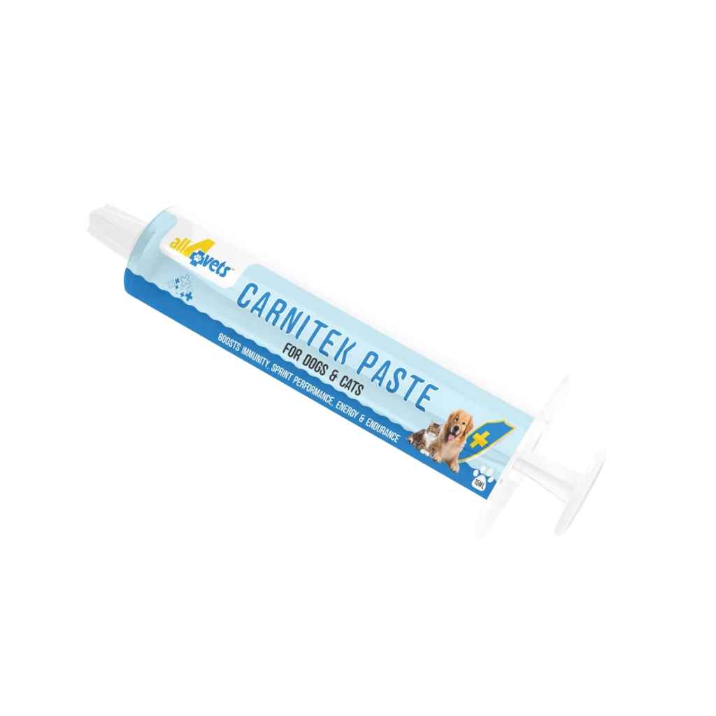 ALL4VETS CARNITEK L-CARNITINE ENERGY PASTE FOR DOGS & CATS [15 ML] - Animeal