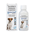 AMINO COOL SYRUP - Animeal
