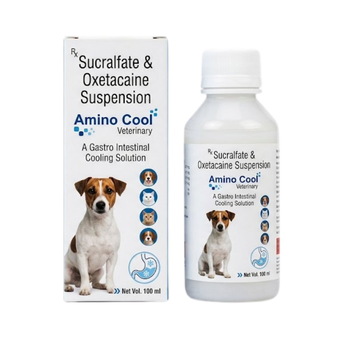 AMINO COOL SYRUP - Animeal