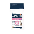 AVET ATOPIC MEDIUM MAXI DRY FOOD (S) - Animeal