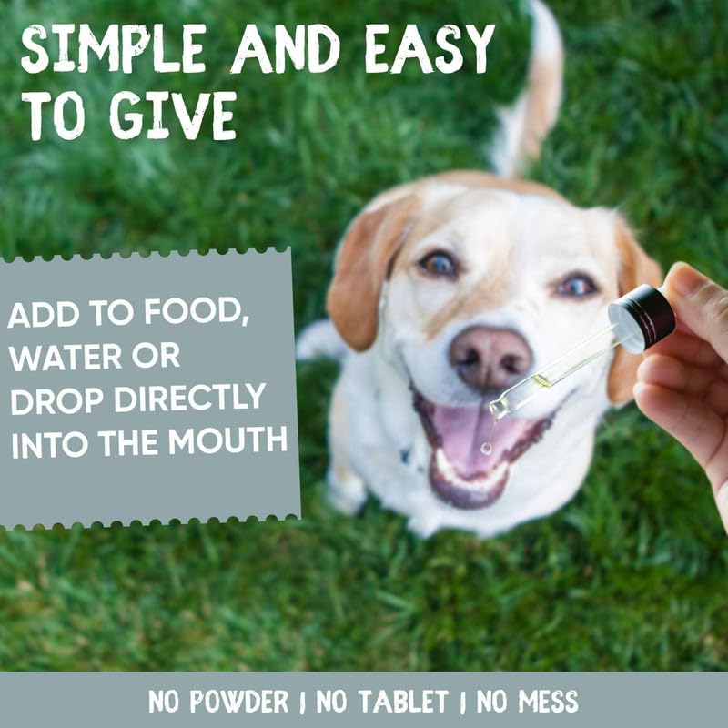 Biotin for Dogs & Cats - Animeal