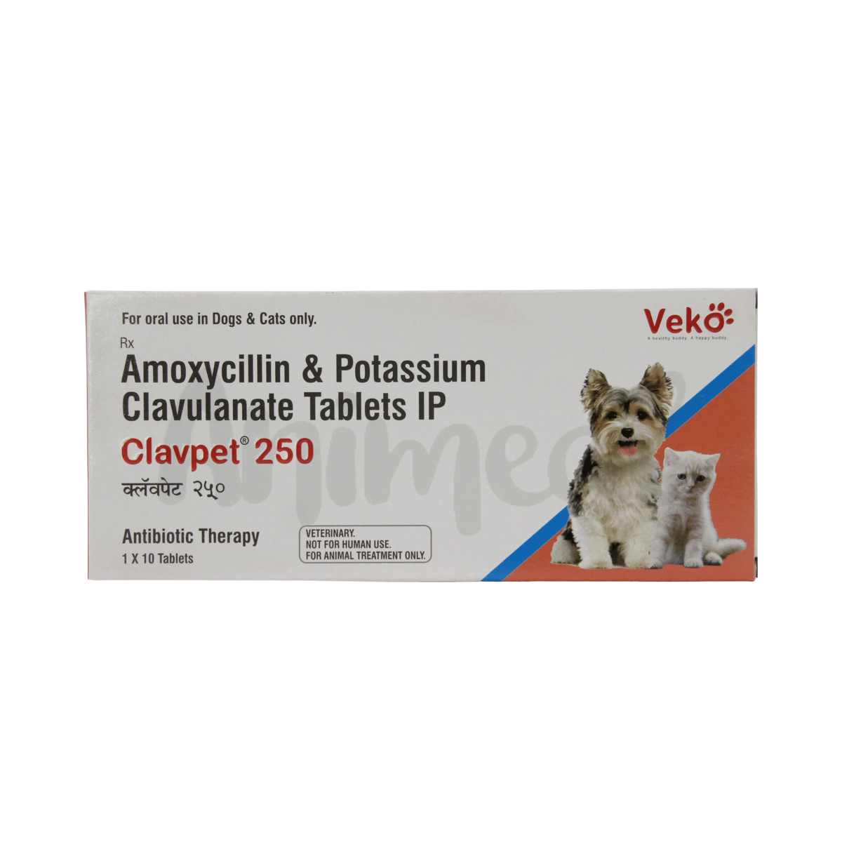 CLAVPET 250MG TABLET - Animeal