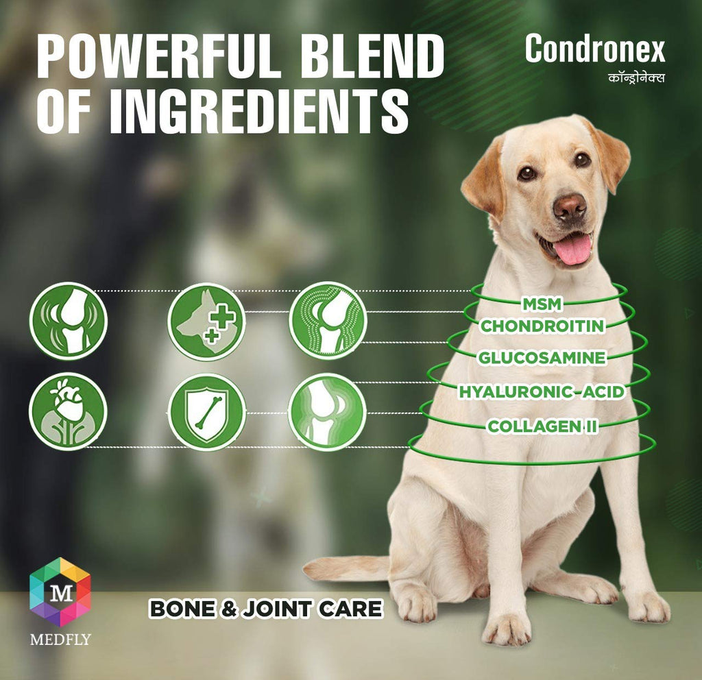 Condronex Pro Joint and Cartilage 30 Tablets - Animeal