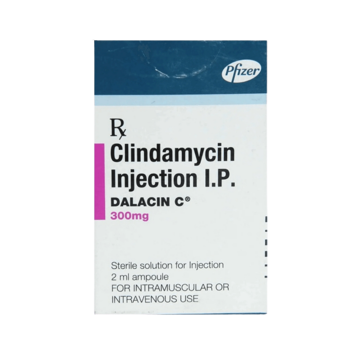DALACIN C 300MG INJ - Animeal