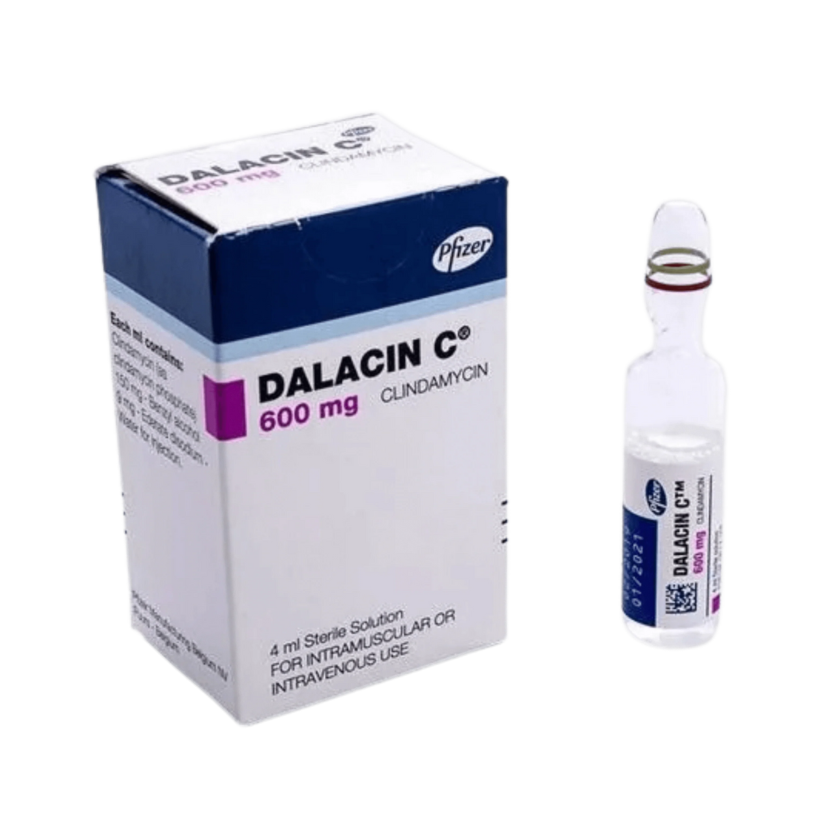 DALACIN C 600 MG INJ - Animeal