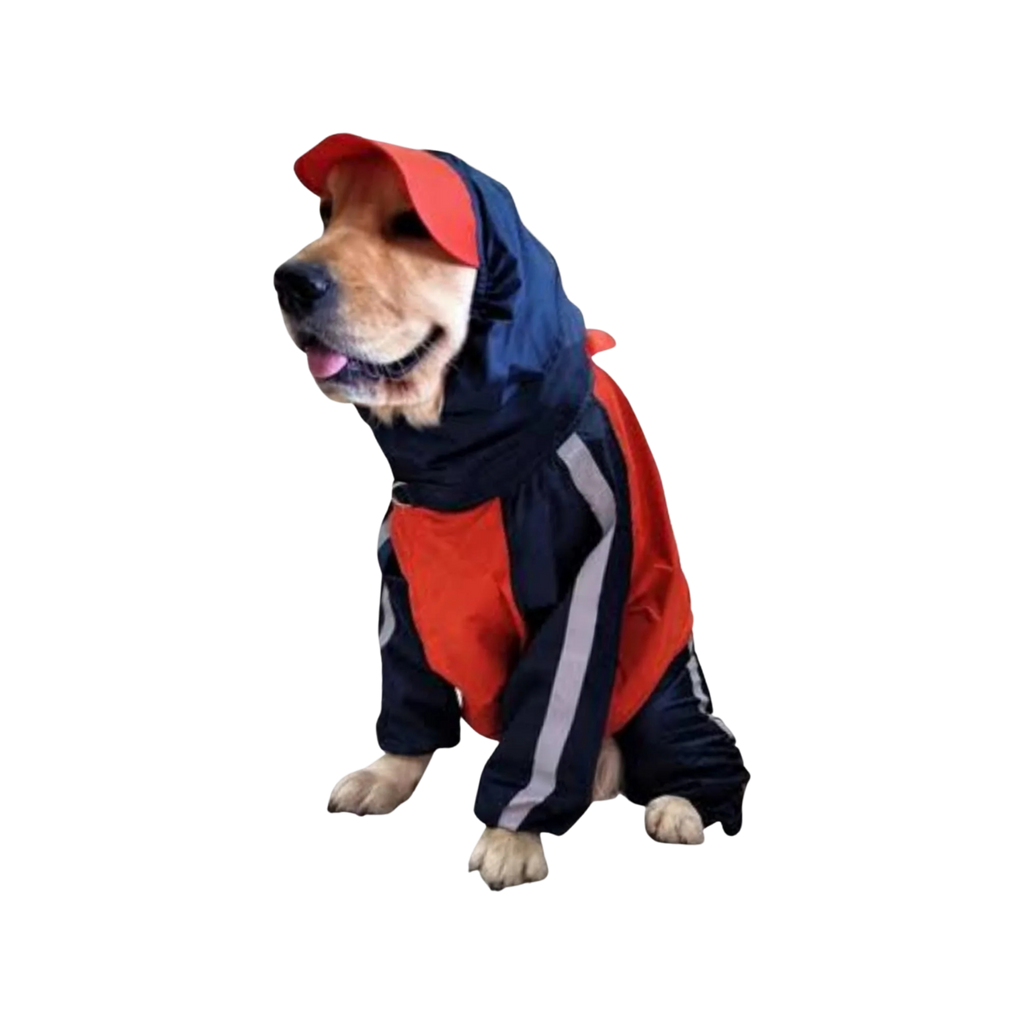 DL FULL COVERAGE RAINCOAT (32) - Animeal