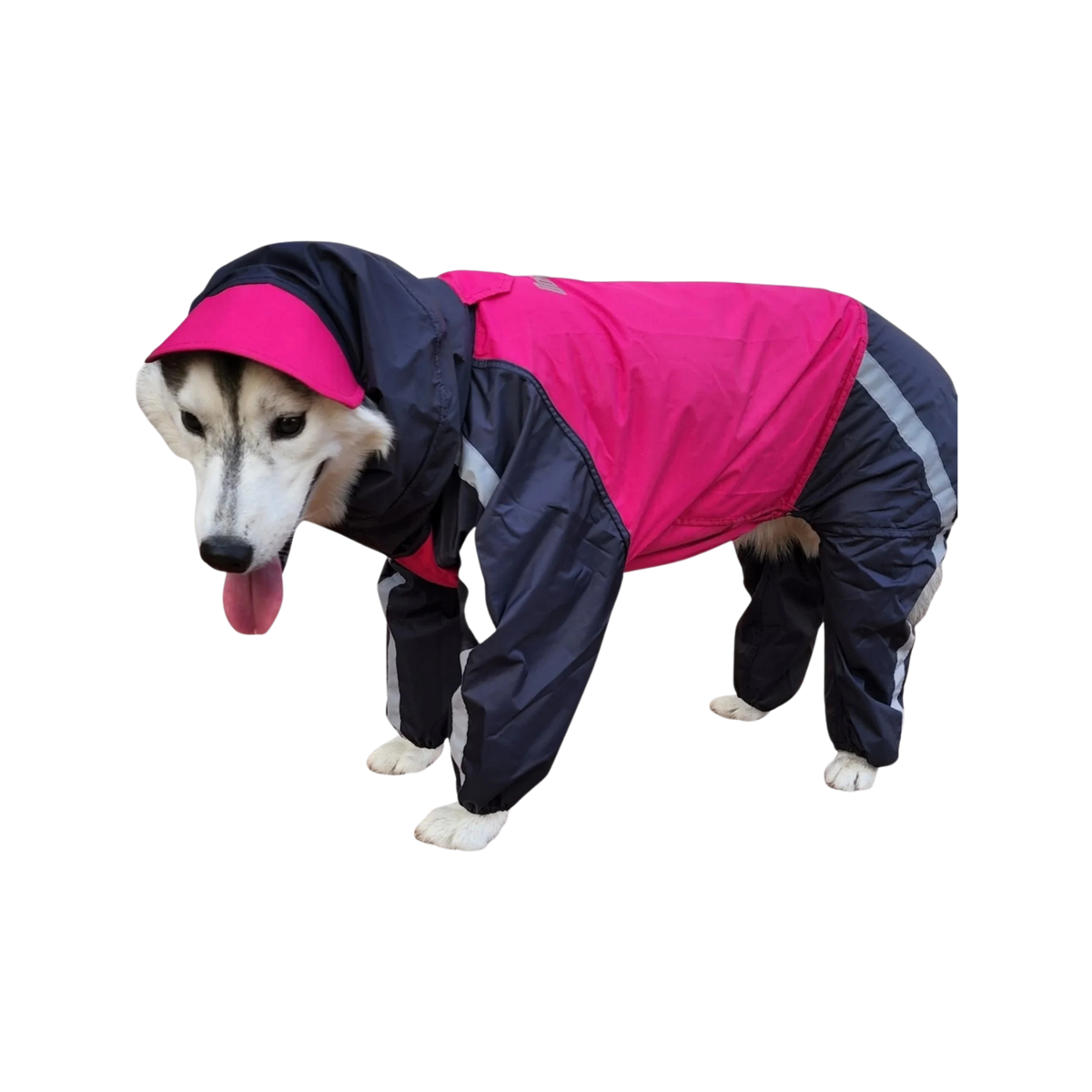 DL FULL COVERAGE RAINCOAT (38) - Animeal