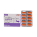 DOXYPET 300 TABLET - Animeal
