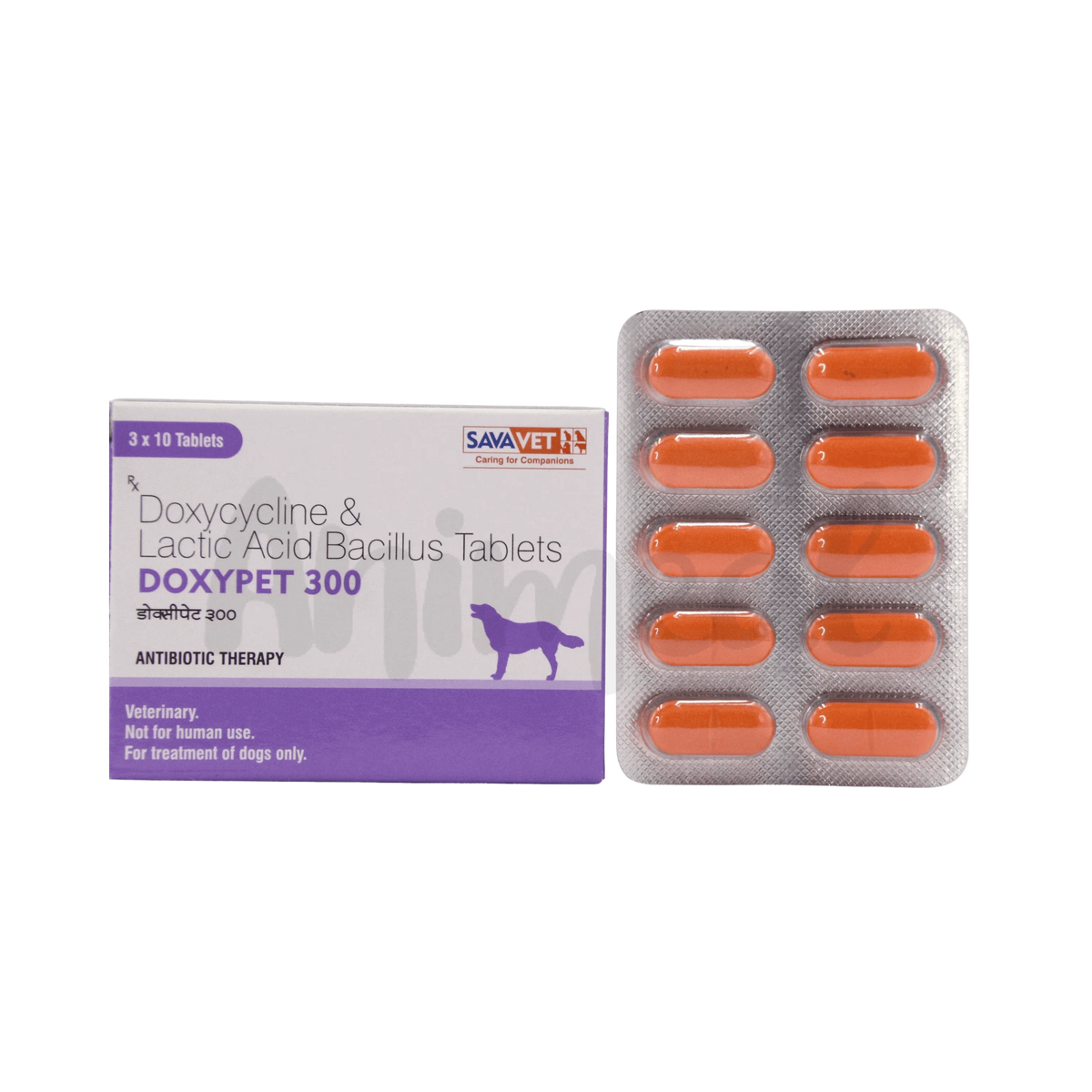 DOXYPET 300 TABLET - Animeal