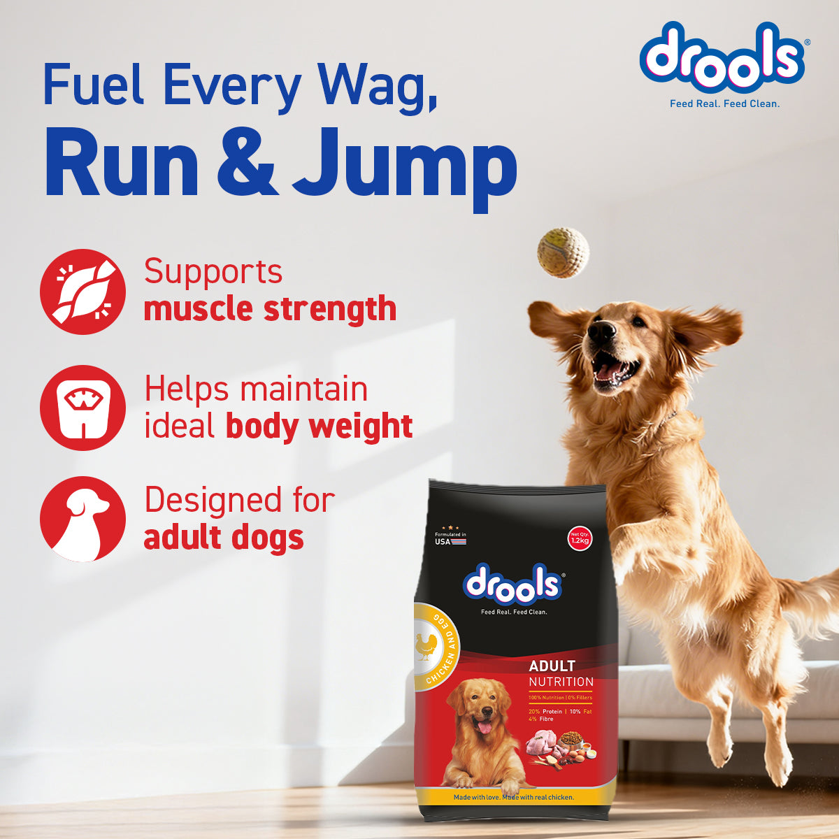 DROOLS ADULT CHIC & EGG DRY FOOD (XXL) - Animeal