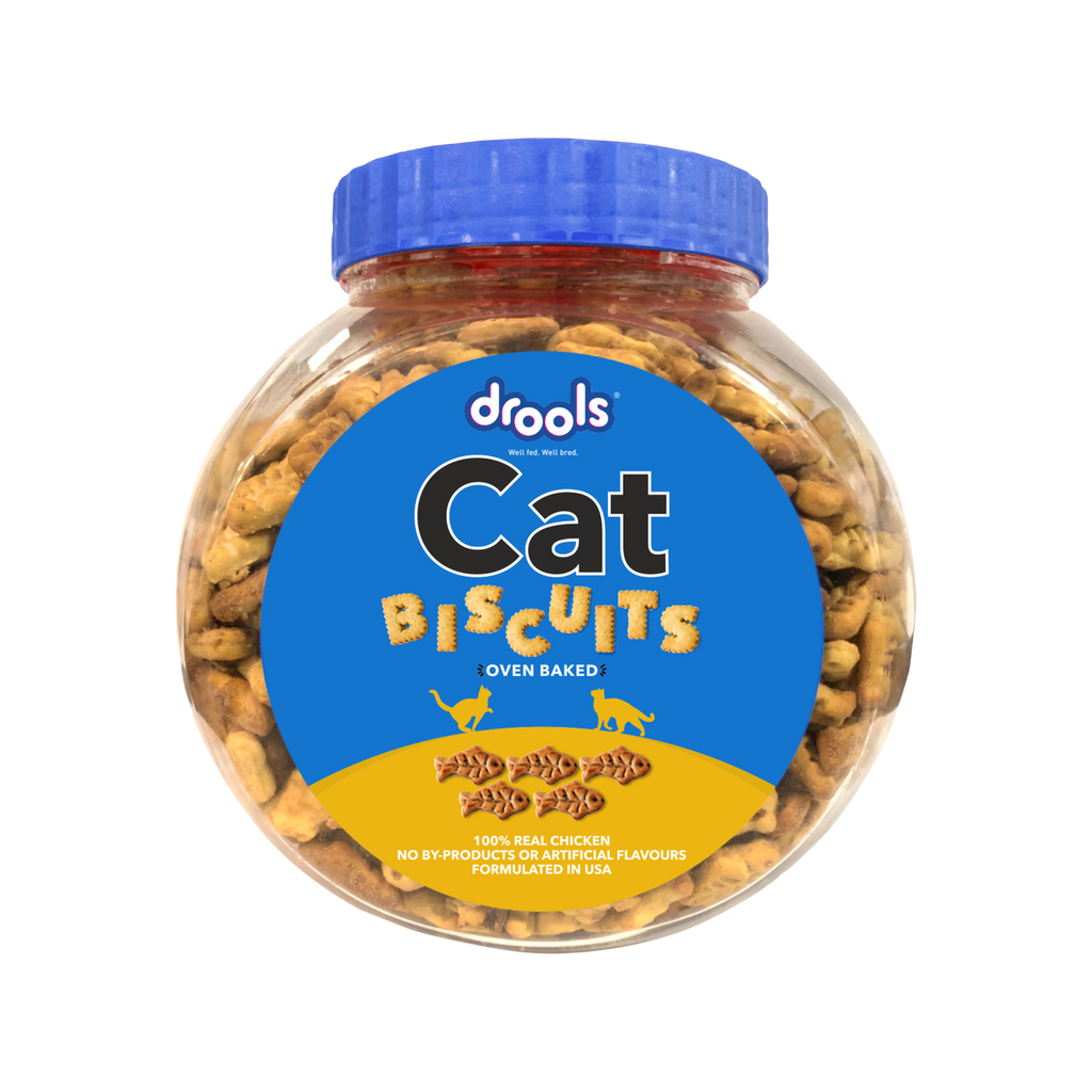 DROOLS CAT BISCUIT JAR - Animeal