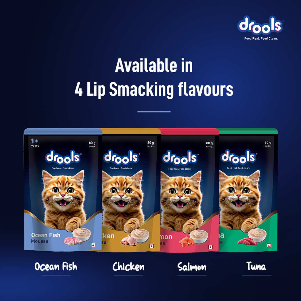 DROOLS OCEAN FISH MOUSSE KITTEN WET FOOD [80g] - Animeal