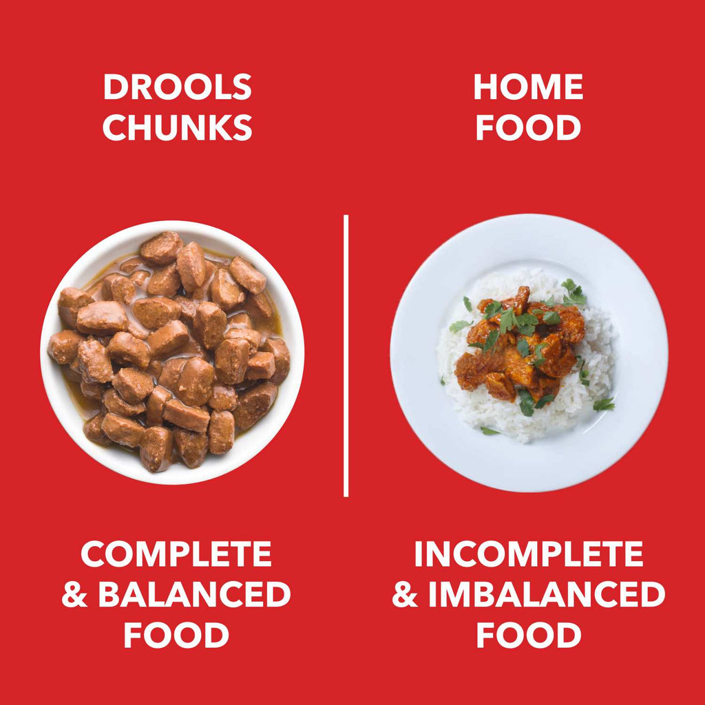 DROOLS PUPPY CHIC CHUNK GRAVY OFFER - Animeal