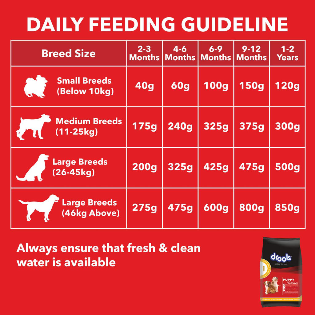 DROOLS PUPPY CHIC & EGG DRY FOOD (M) - Animeal
