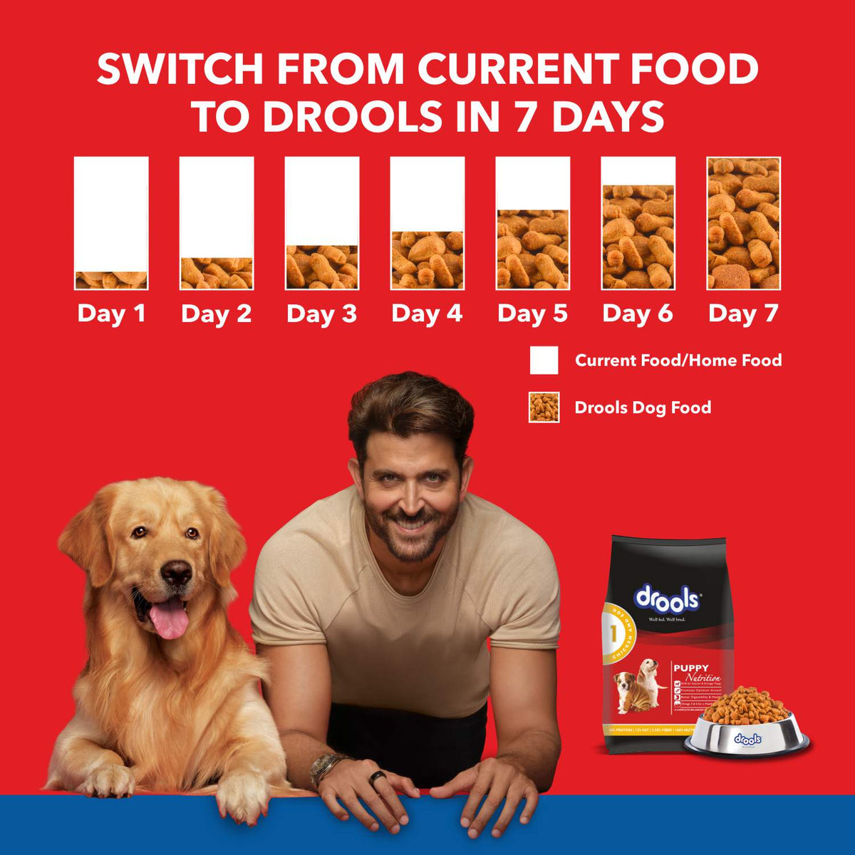 DROOLS PUPPY CHIC & EGG DRY FOOD (M) - Animeal