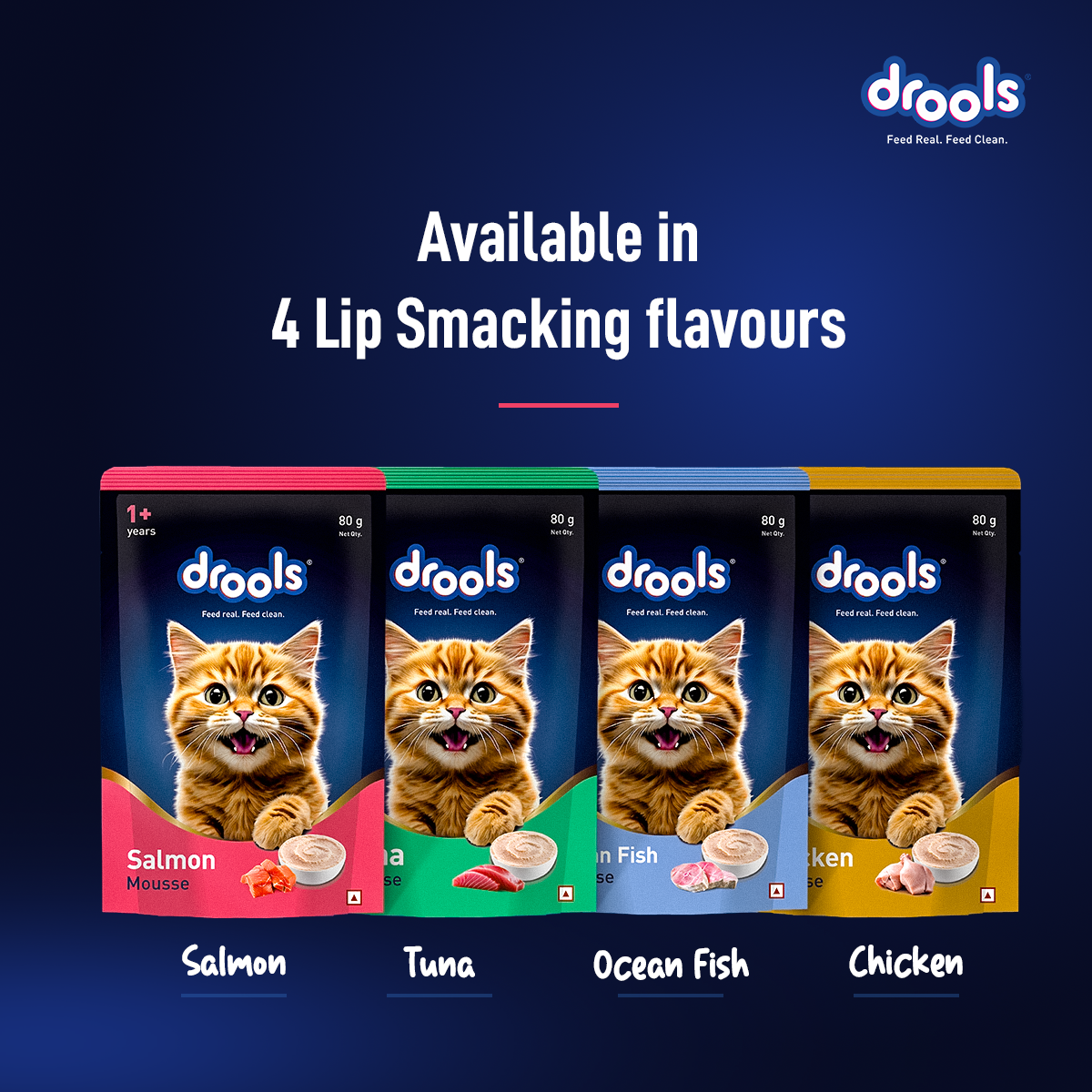 DROOLS SALMON MOUSSE KITTEN WET FOOD [80g] - Animeal