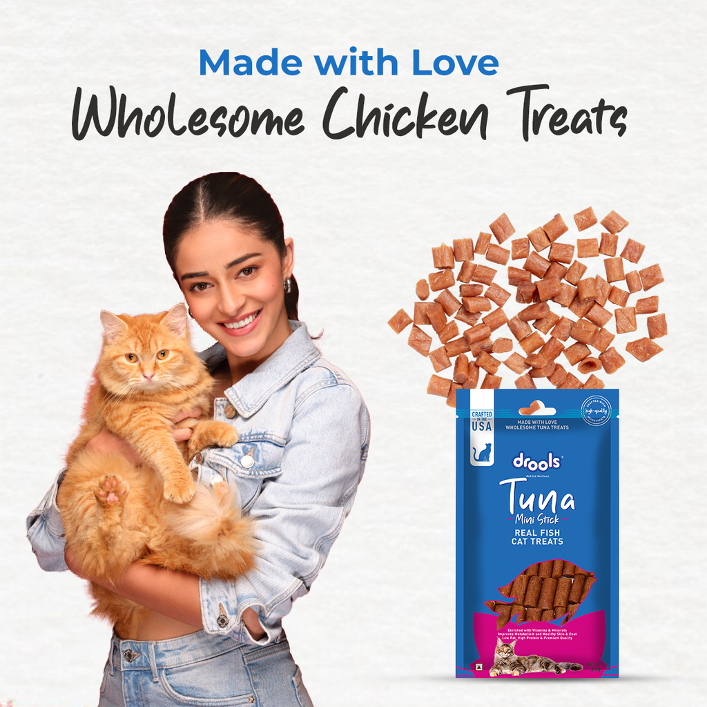 DROOLS TUNA MINI STICKS CAT TREAT - Animeal