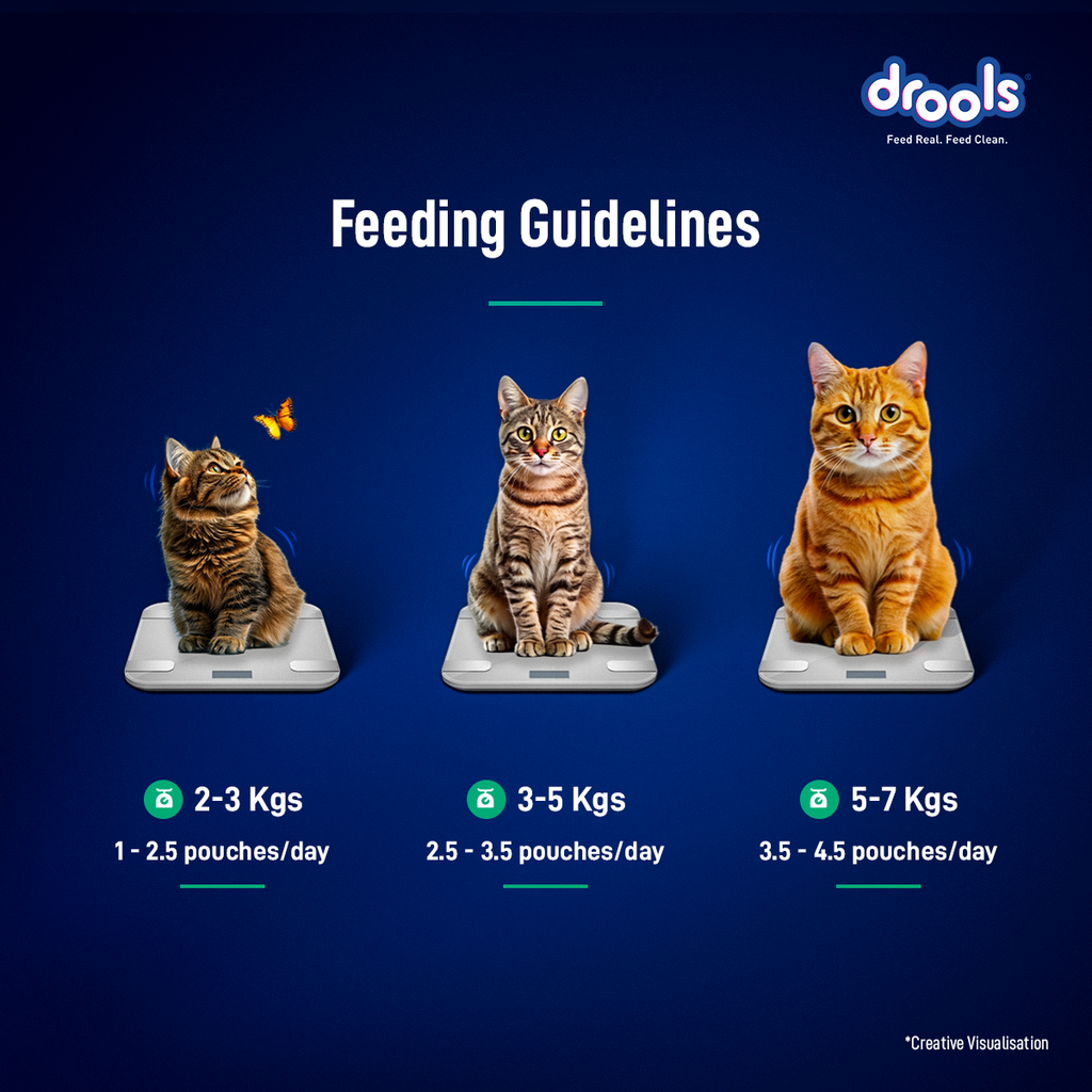 DROOLS TUNA MOUSSE CAT WET FOOD [80g] - Animeal