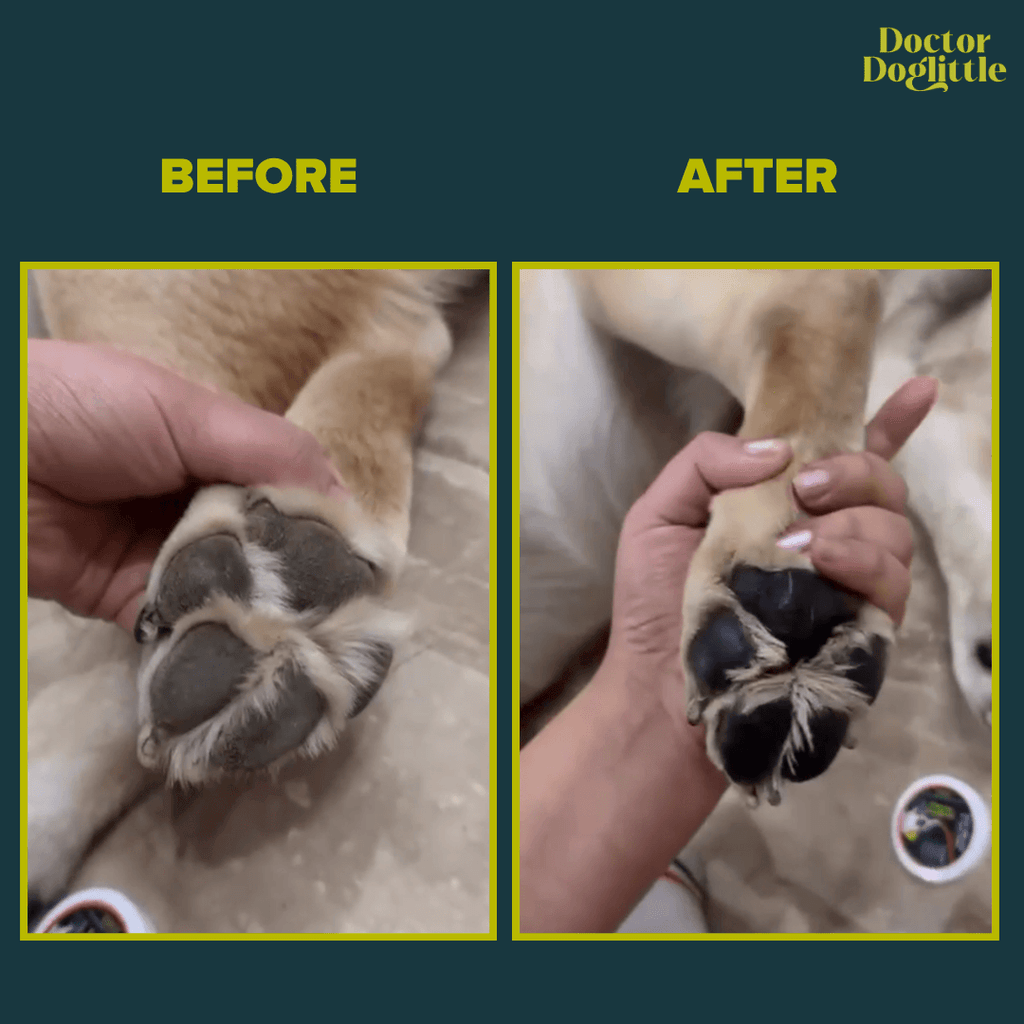 Doctor Doglittle Probiotic Goat Milk Paw & Nose Balm 15g - Animeal