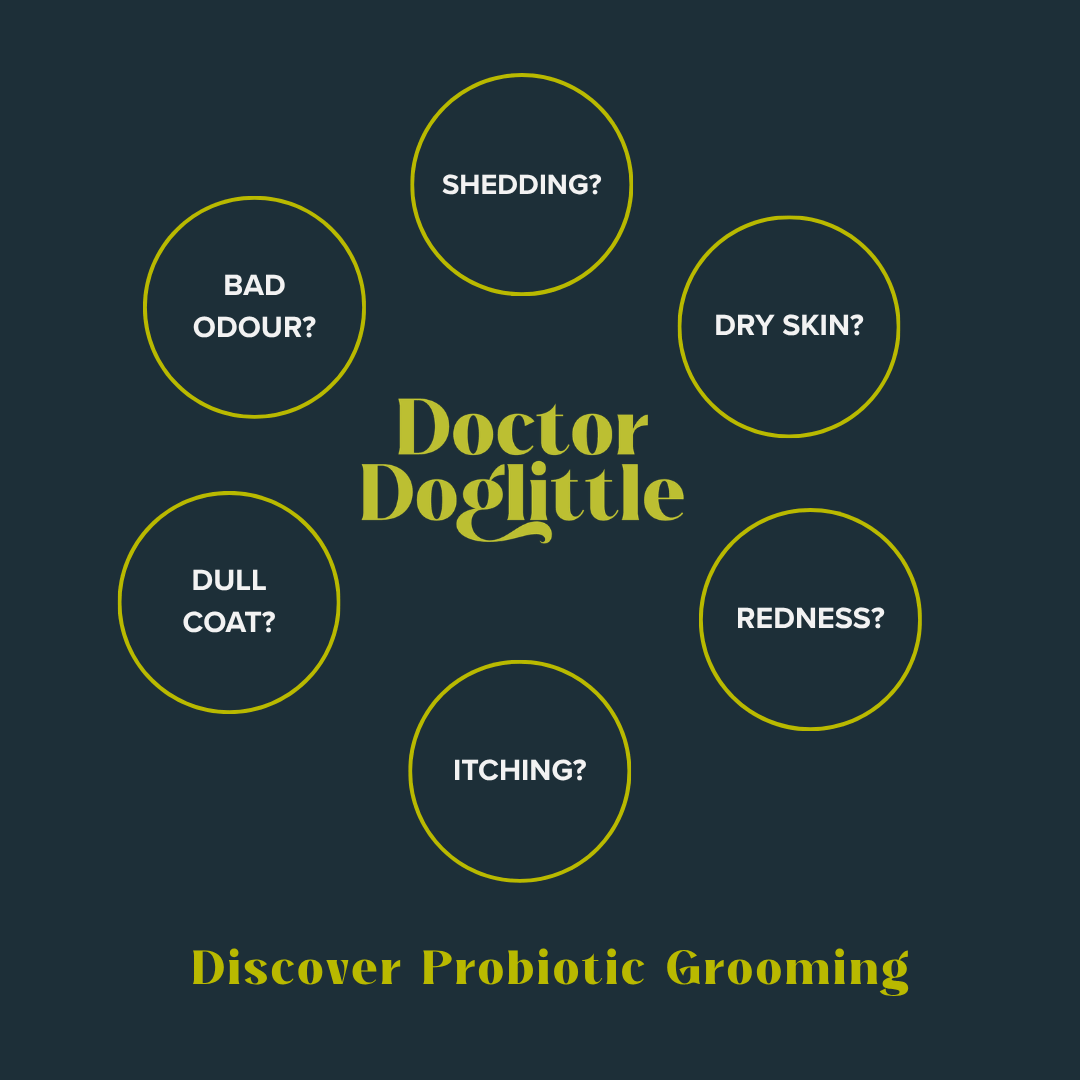Doctor Doglittle Probiotic Shea Butter Paw & Nose Balm - Animeal