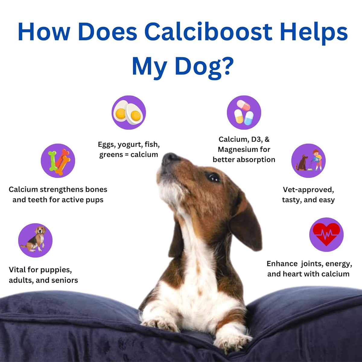 Dog Calcium Tablets – 60 Count - Animeal