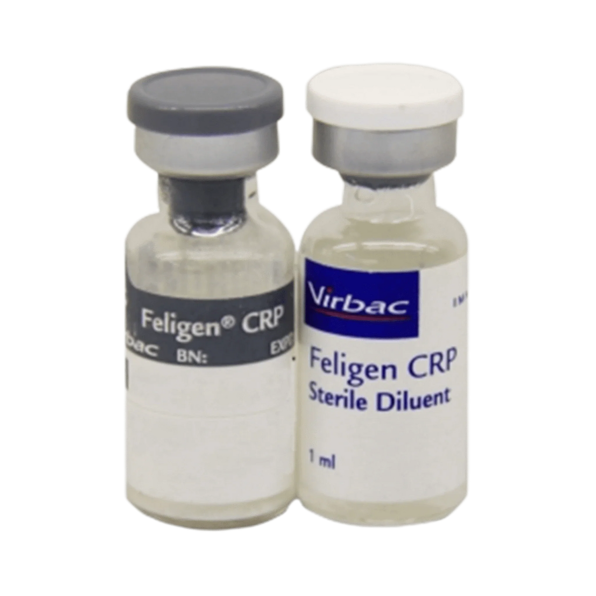 FELIGEN CRP VACCINE