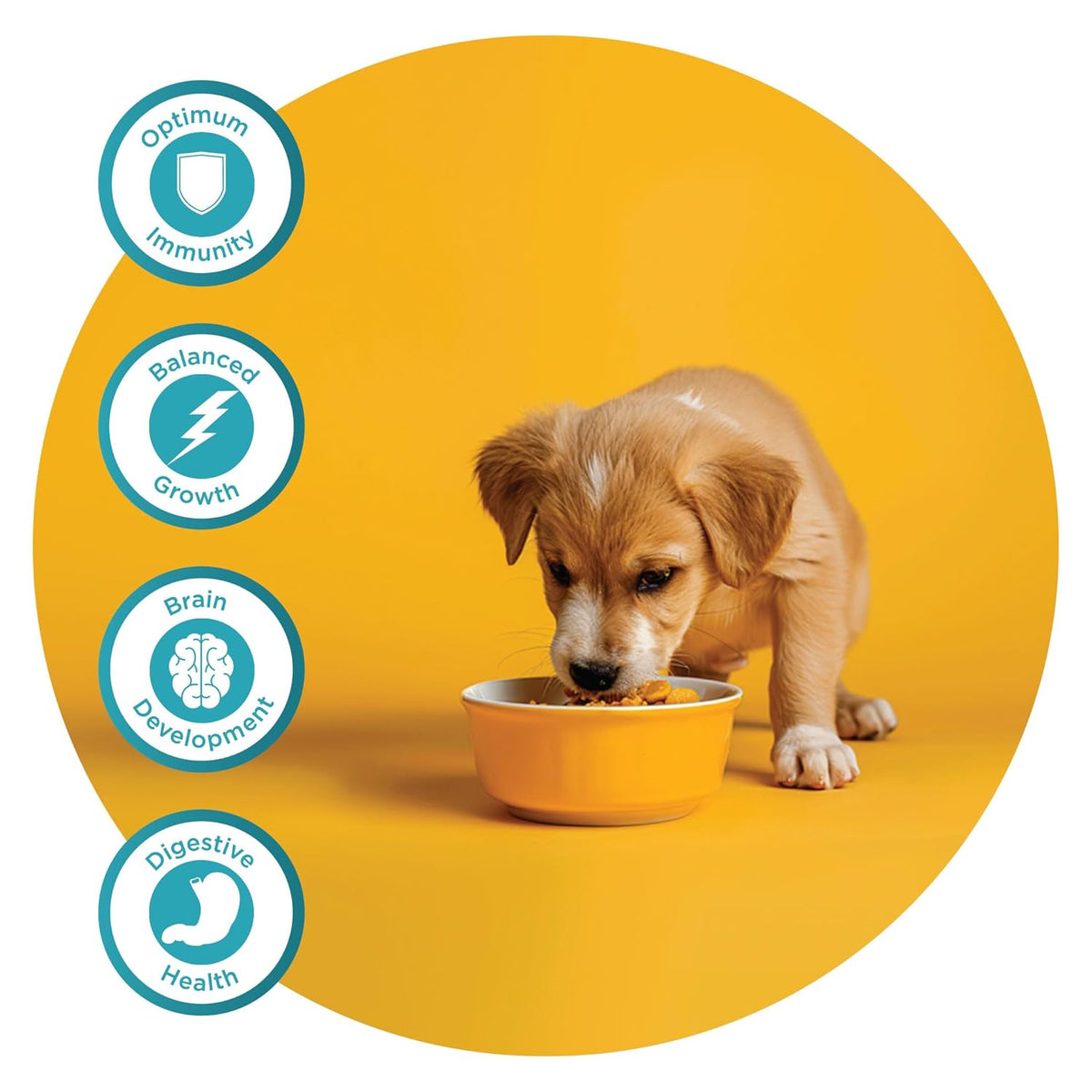 FIDELE PLUS STARTER PUPPY DRY FOOD [3 KG] - Animeal